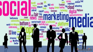 Current trend in the IT sector in NZ