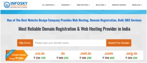 InfoSky Solutions home page with search engine